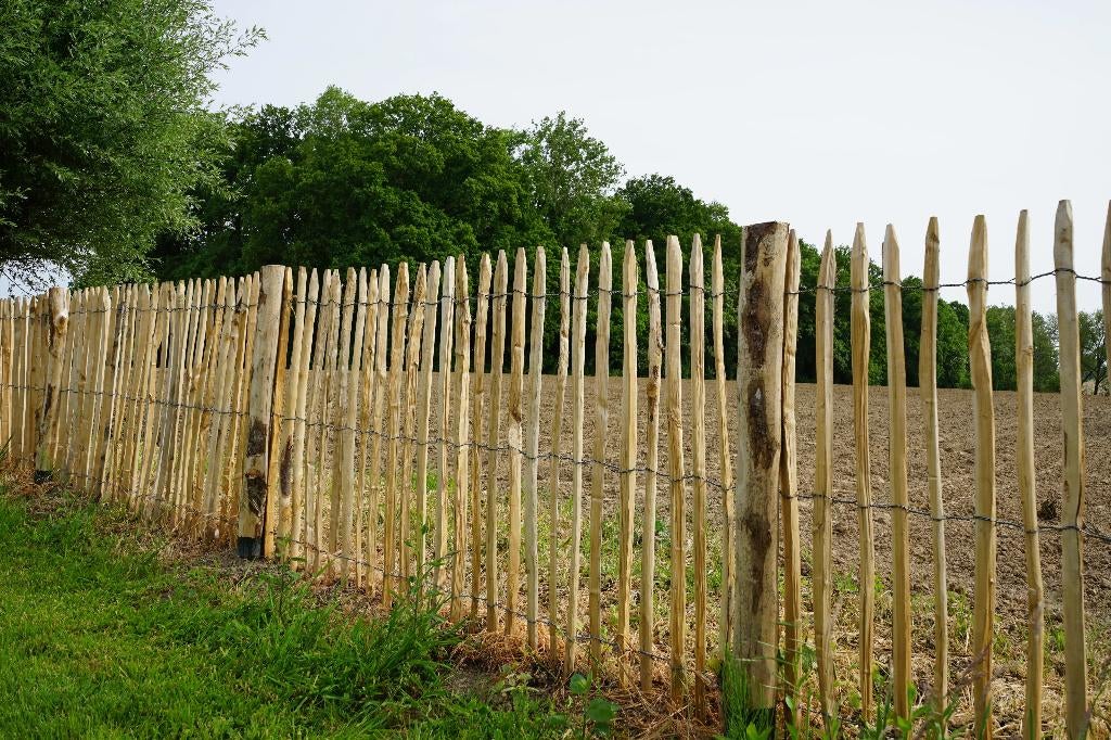 CLÔTURE EN CHÂTAIGNIER, Jardin & Terrasse, Clôtures de jardin, Neuf, Enlèvement ou Envoi, Clôture barrée, Bois