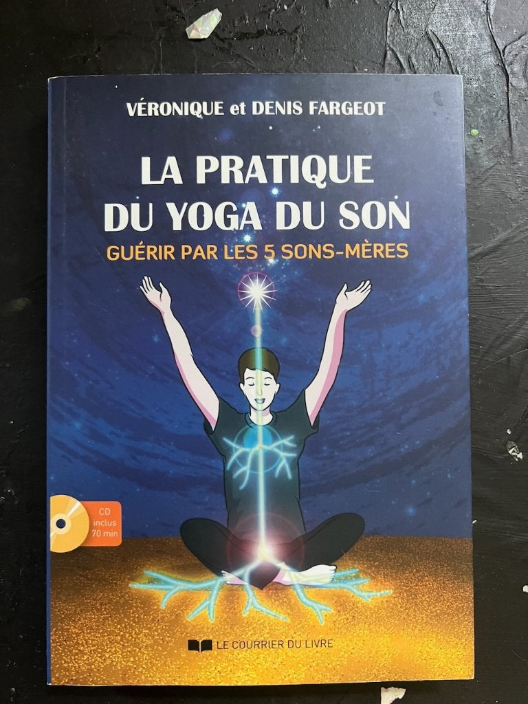 Boek + CD de yoga van geluid, Ophalen, Zo goed als nieuw, Overig