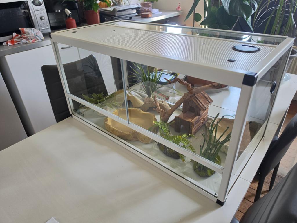 Terrarium reptiles-planet 80x40x40 comme neuf, Comme neuf, Terrarium ou Paludarium