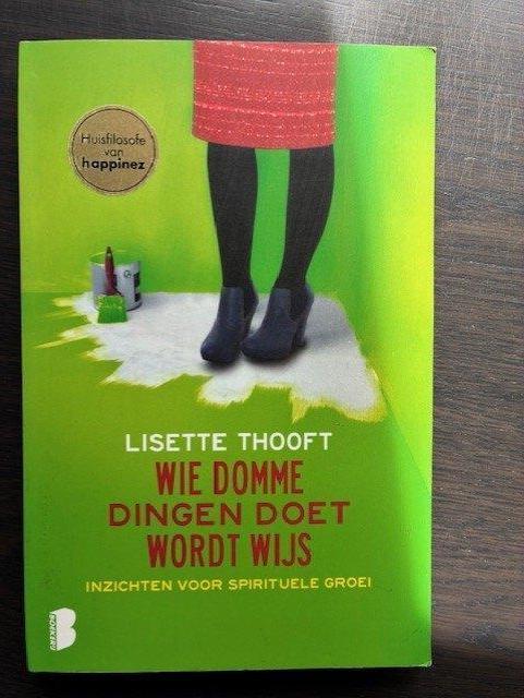 Wie domme dingen doet - inzichten voor spirituele groei, Spiritualiteit algemeen, Verzenden, Zo goed als nieuw, Lisette Thooft