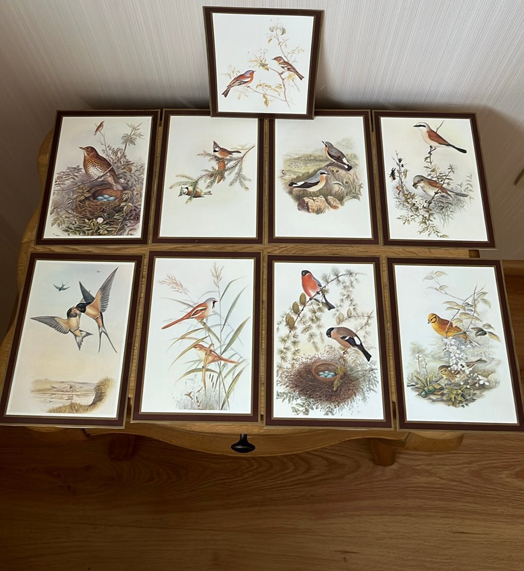 9 prenten ( vogels), Verzamelen, Ophalen of Verzenden, Zo goed als nieuw