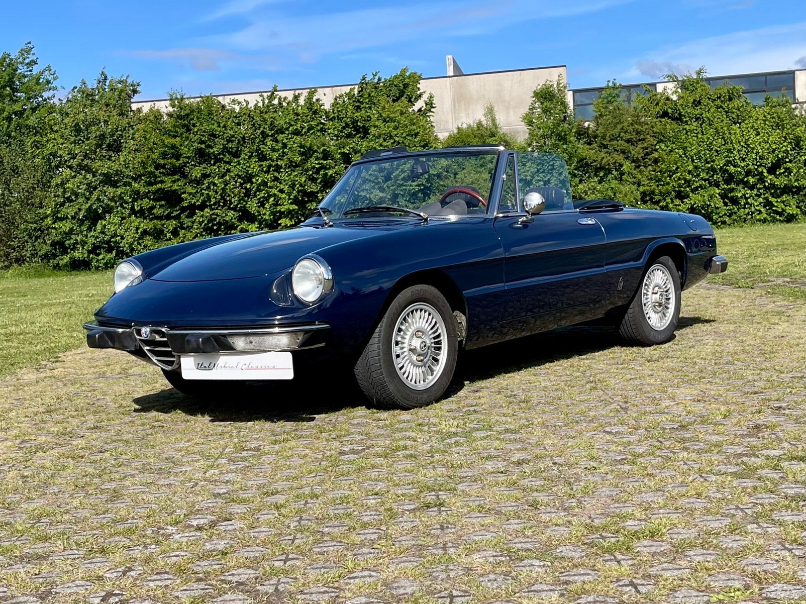 Alfa Romeo Spider Coda Tronca, Autos, Oldtimers & Ancêtres, Entreprise, Boîte manuelle, Noir, 2 portes
