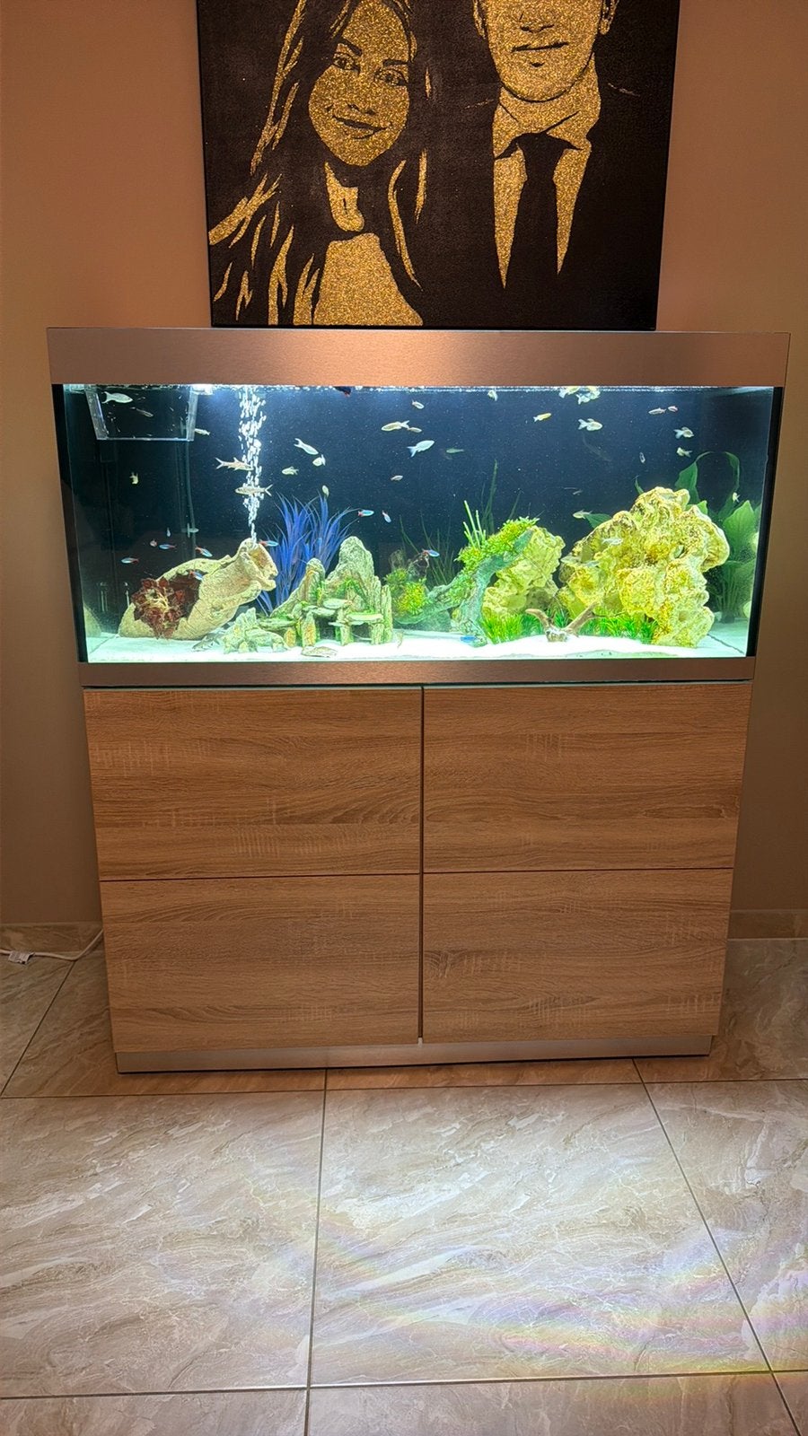 aquariumvissen +-50te koop (zoetwater) ,en +-70 guppy babys, Ophalen, Zo goed als nieuw