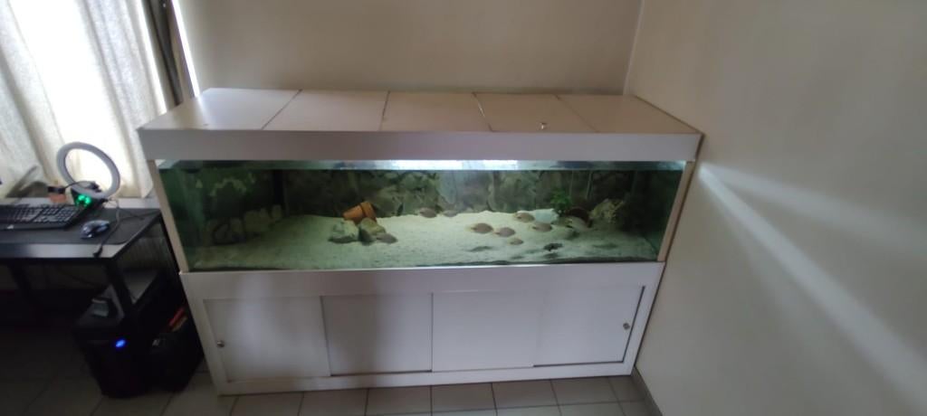 groot aquarium 2 meter, Dieren en Toebehoren, Ophalen, Gebruikt, Leeg aquarium