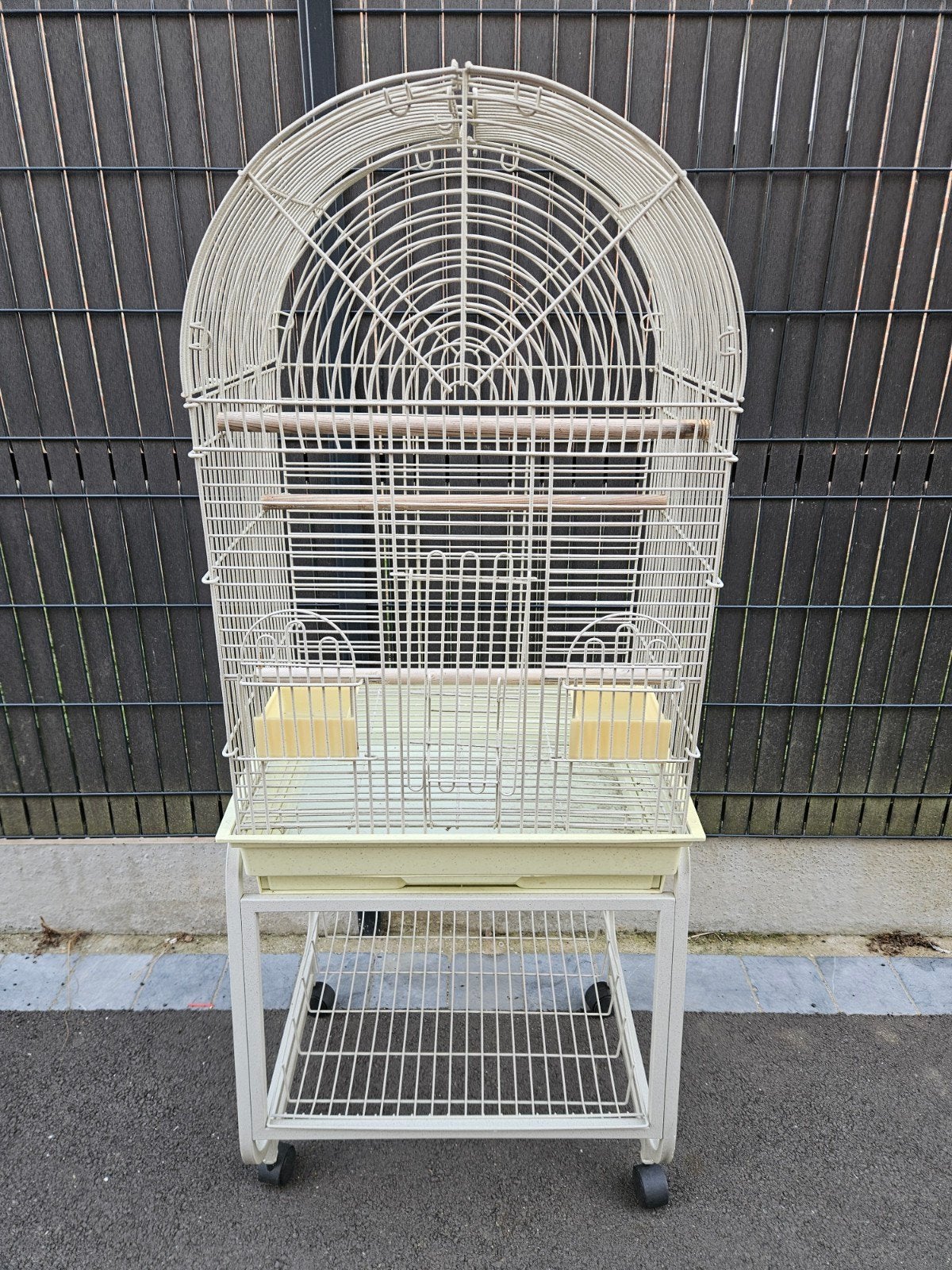 cage perroquet, Enlèvement