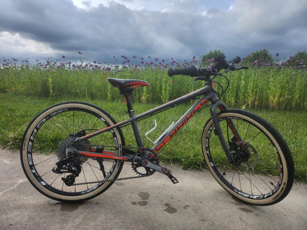 Top-MTB voor kids, Fietsen en Brommers, Ophalen