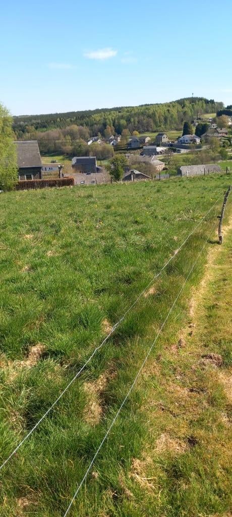 Bouwgrond Ardennen Opont, PALISEUL (Opont), Verkoop zonder makelaar, 500 tot 1000 m²