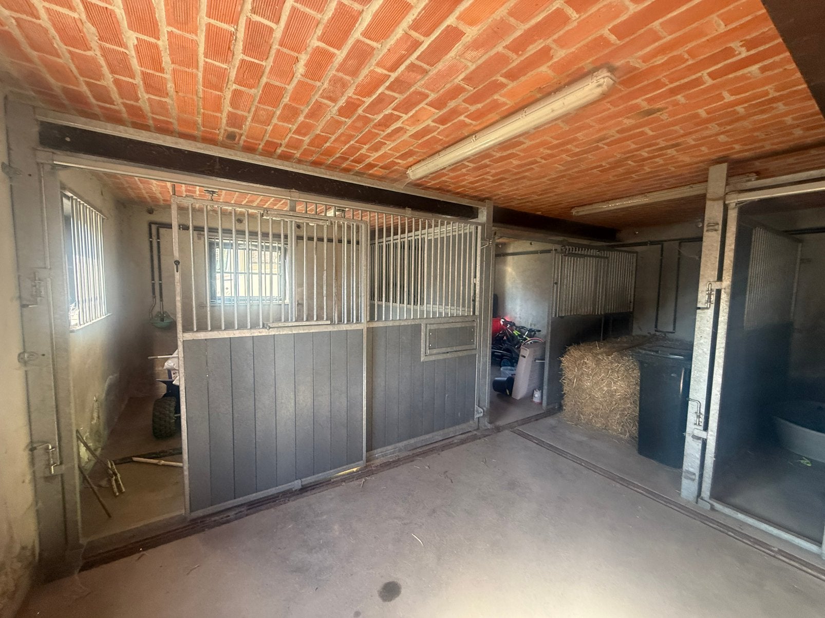 Paardenstallen, Dieren en Toebehoren, Stalling