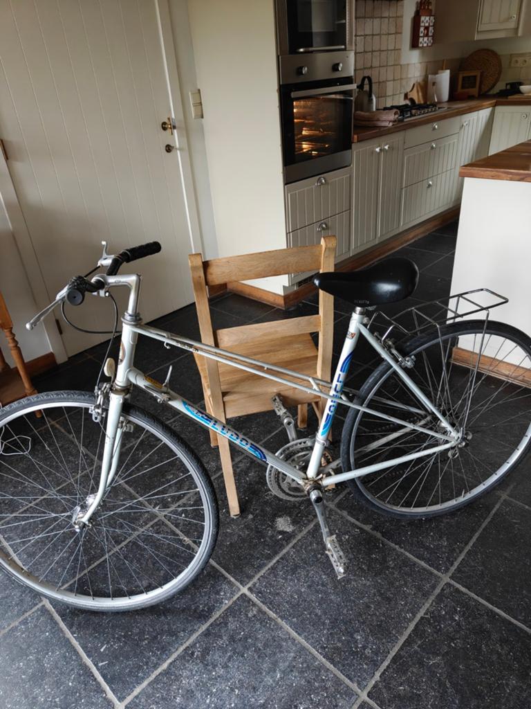 Vintage koersfiets Ludo, Ophalen, Overige merken, Versnellingen