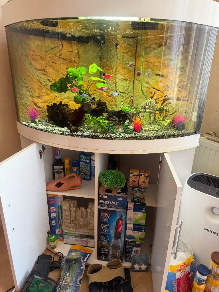Aquarium juwel 190 l, Animaux & Accessoires, Enlèvement, Utilisé, Juwel, Aquarium d'eau douce rempli