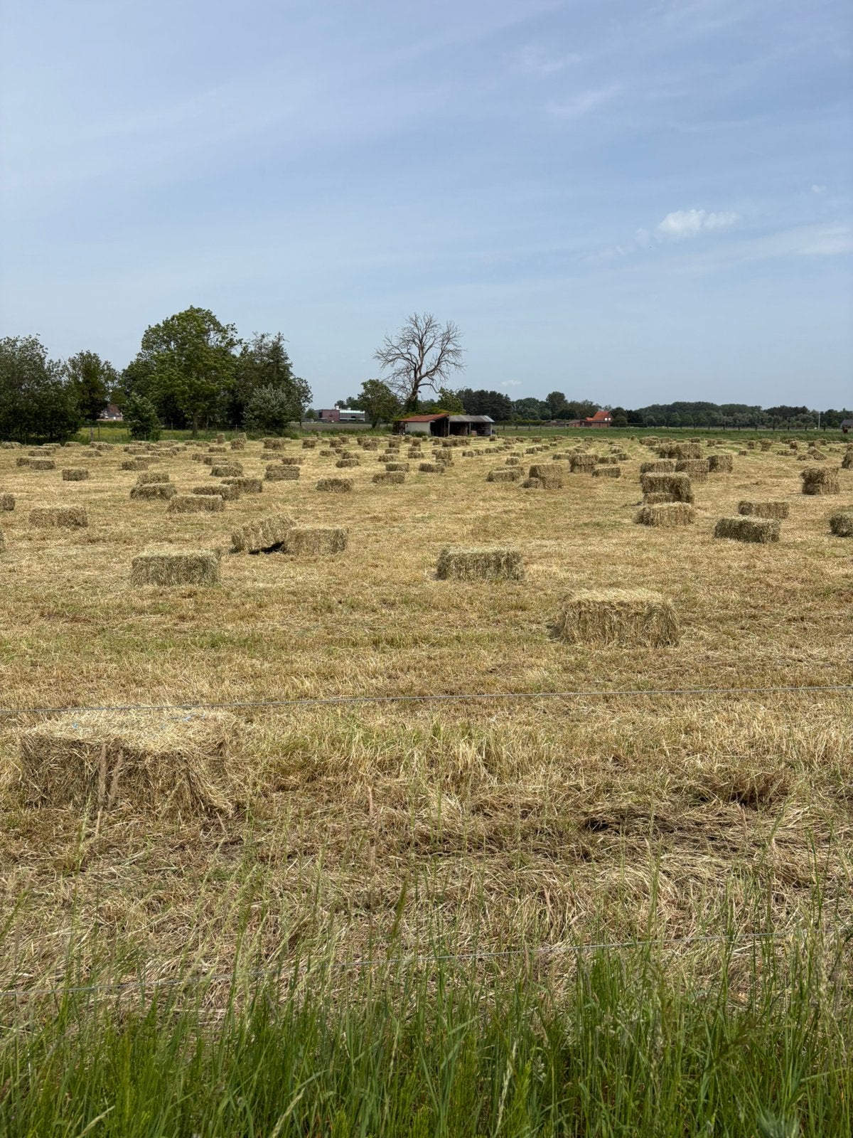 Hooi, Dieren en Toebehoren, Ophalen