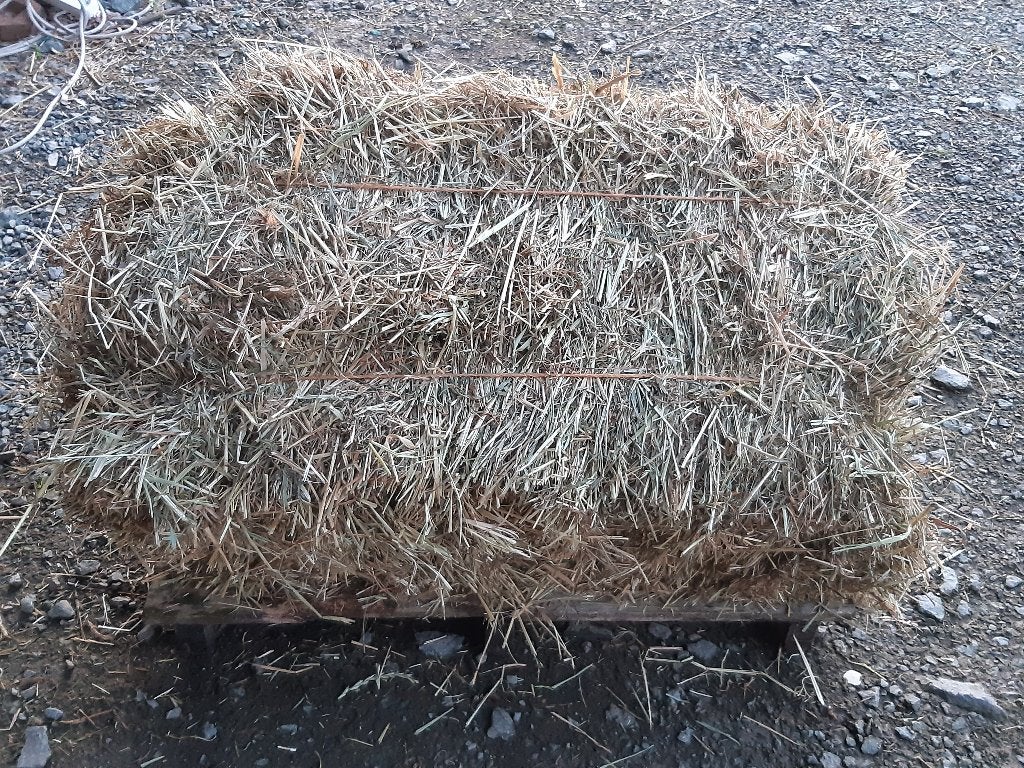 Hooi, Dieren en Toebehoren, Ophalen