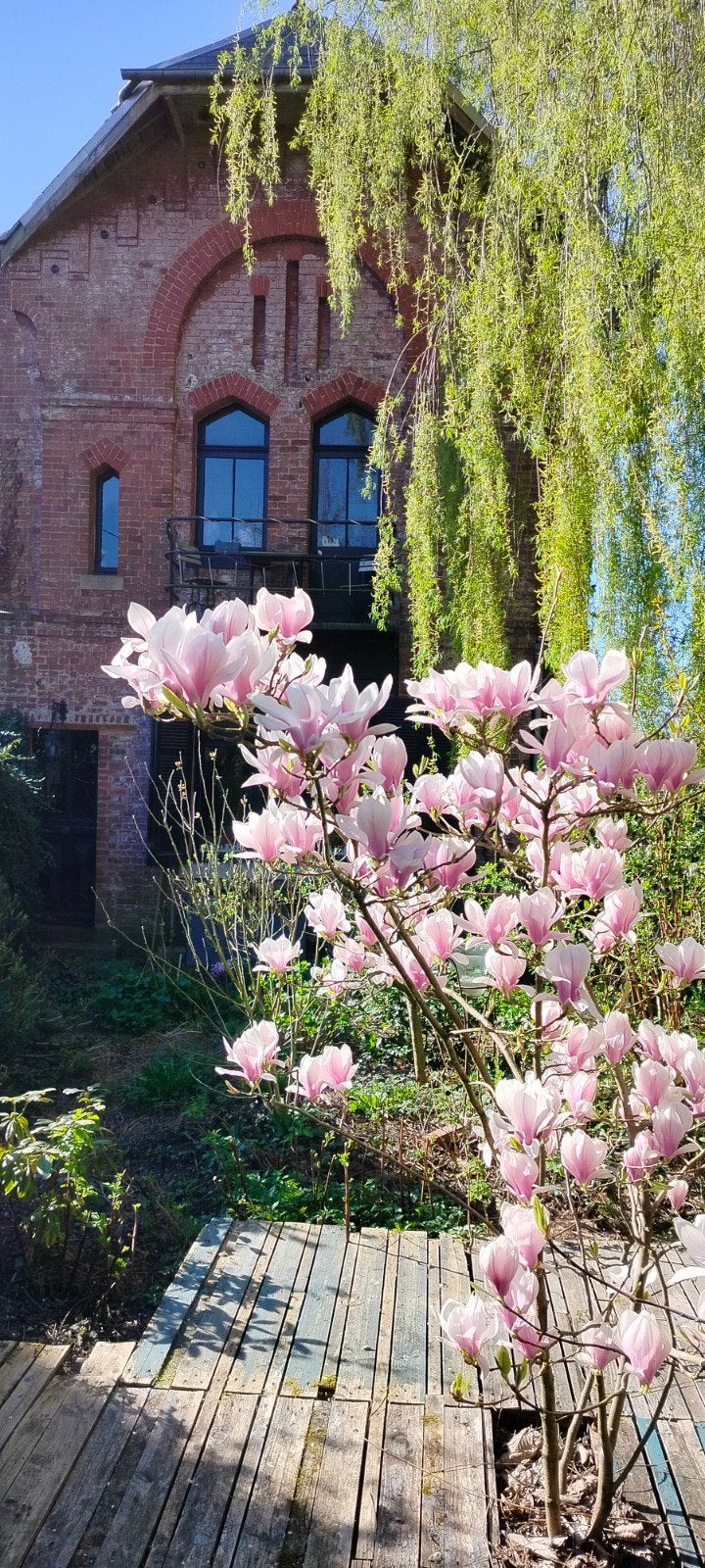 Maison de Maître ATypique a vendre en Nord France, Immo, Étranger