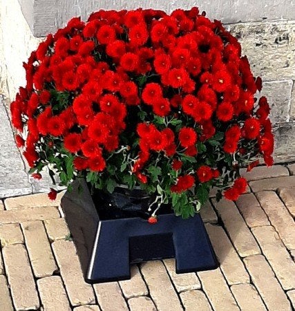 houders voor (chrysanten)potten, Zakelijke goederen, Ophalen