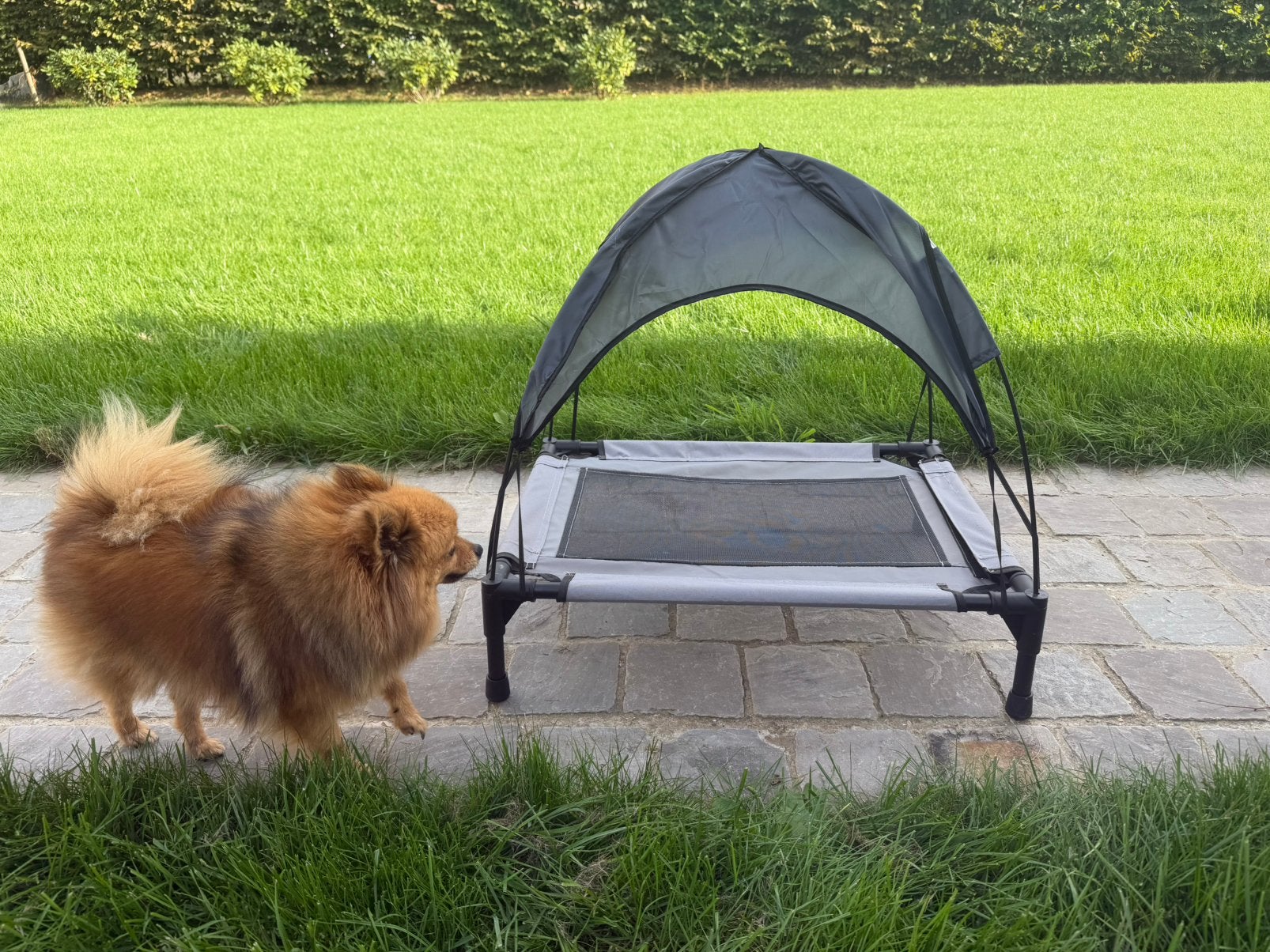 Ligbed voor klein hondje, Ophalen of Verzenden, Zo goed als nieuw