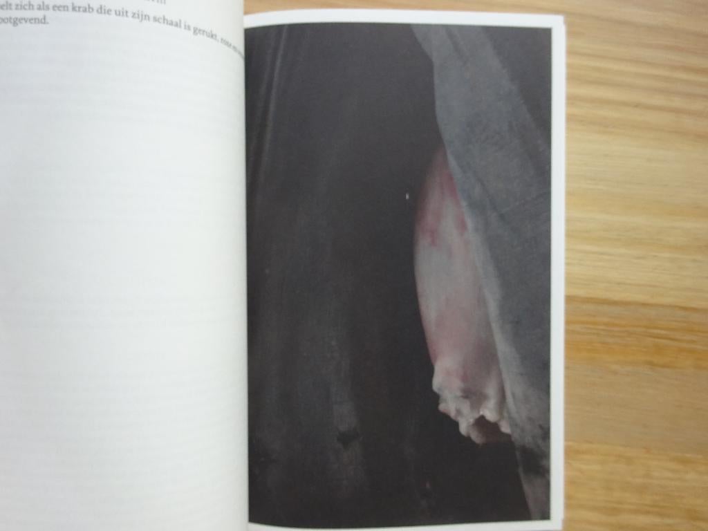 Berlinde De Bruyckere, Allen Vlees, 2012 DWB, Boeken, Kunst en Cultuur | Beeldend, Ophalen of Verzenden, Gelezen, Beeldhouwkunst