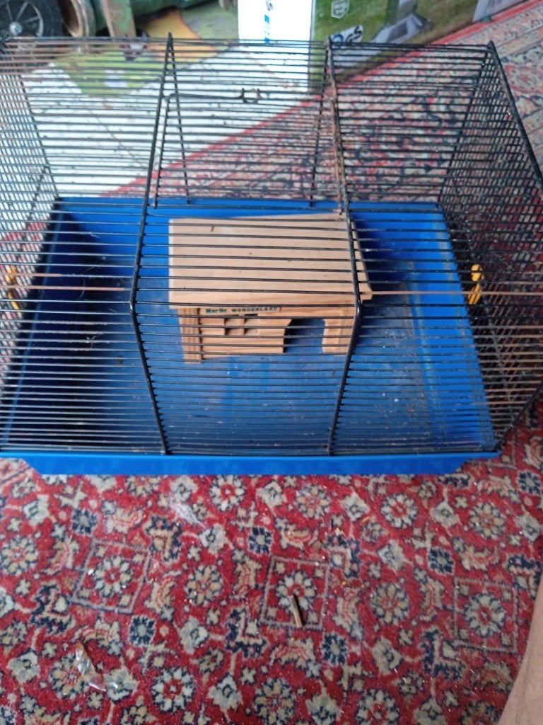 Knaagdier kooi, Ophalen, Gebruikt, Kooi, Muis