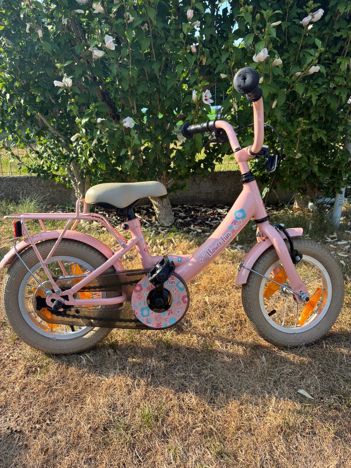 Meisjesfiets 12 inch, Fietsen en Brommers, Ophalen, Terugtraprem, Zijwieltjes, Gebruikt
