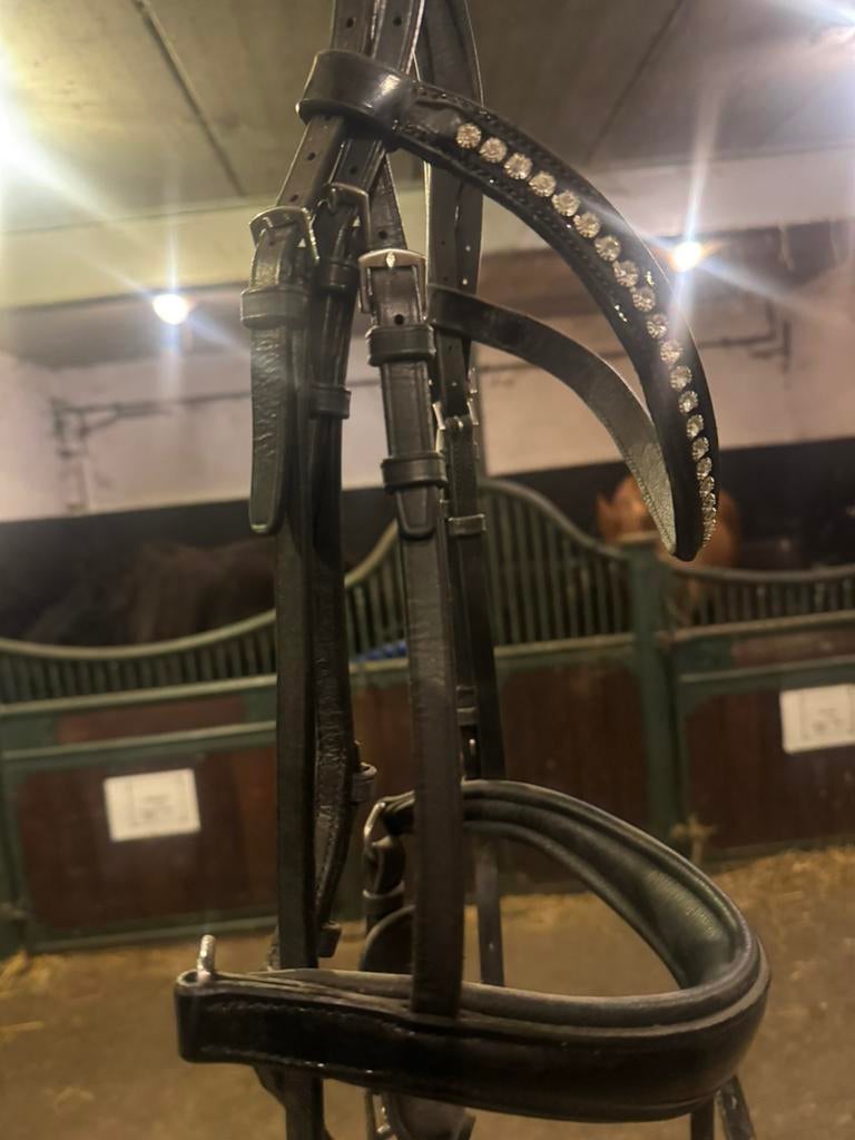 Bridle à vendre, Enlèvement, Comme neuf