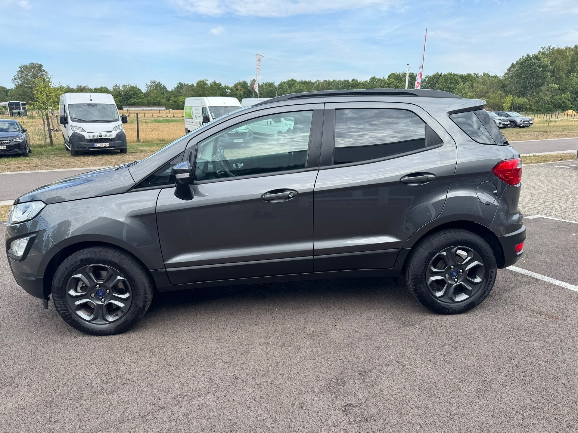 Ford Ecosport 1.0 BENZINE FULL OPTION - WAARBORG, Autos, Argent ou Gris, Achat, Ecosport, 5 places