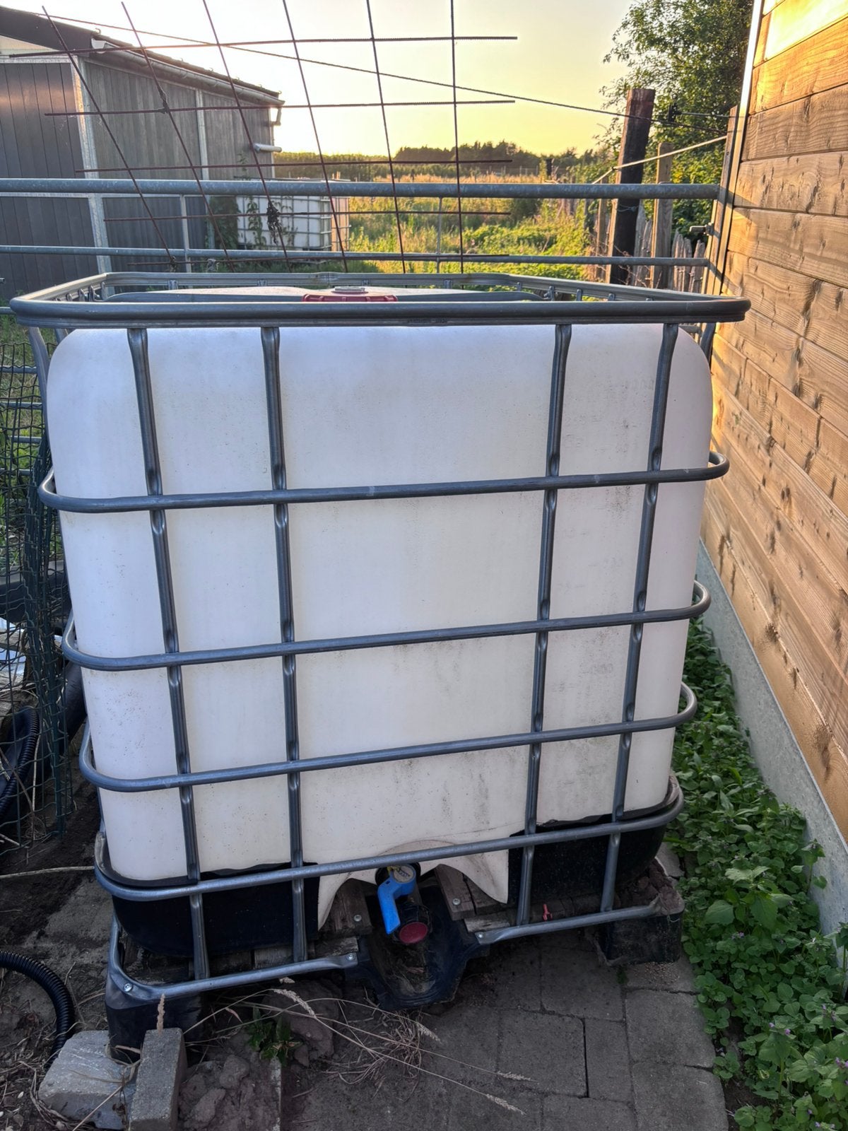 IBC vaten (gereserveerd), Tuin en Terras, Regentonnen, Ophalen, Kunststof, Met kraantje, 150 liter of meer