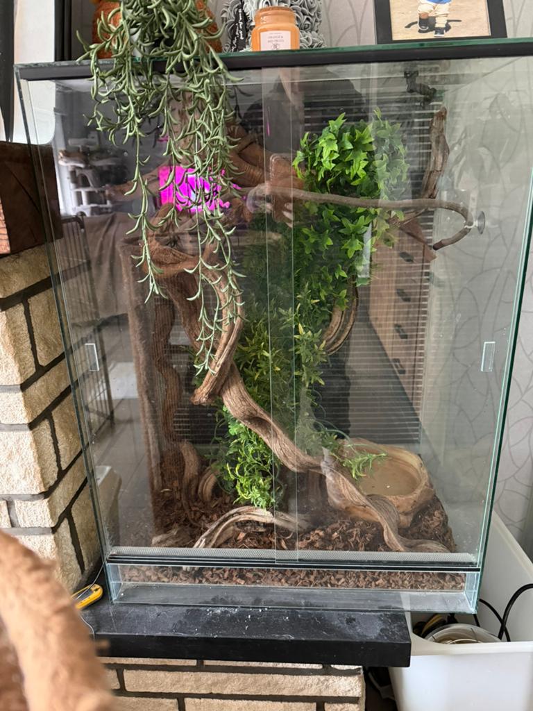 Terrarium, Dieren en Toebehoren, Reptielen en Amfibieën | Toebehoren, Ophalen, Zo goed als nieuw