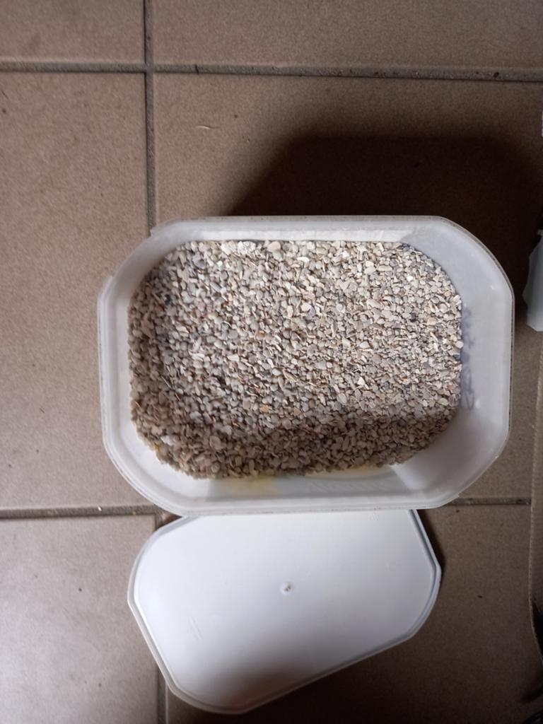 Kiezelsteentjes voor aquarium, Ophalen