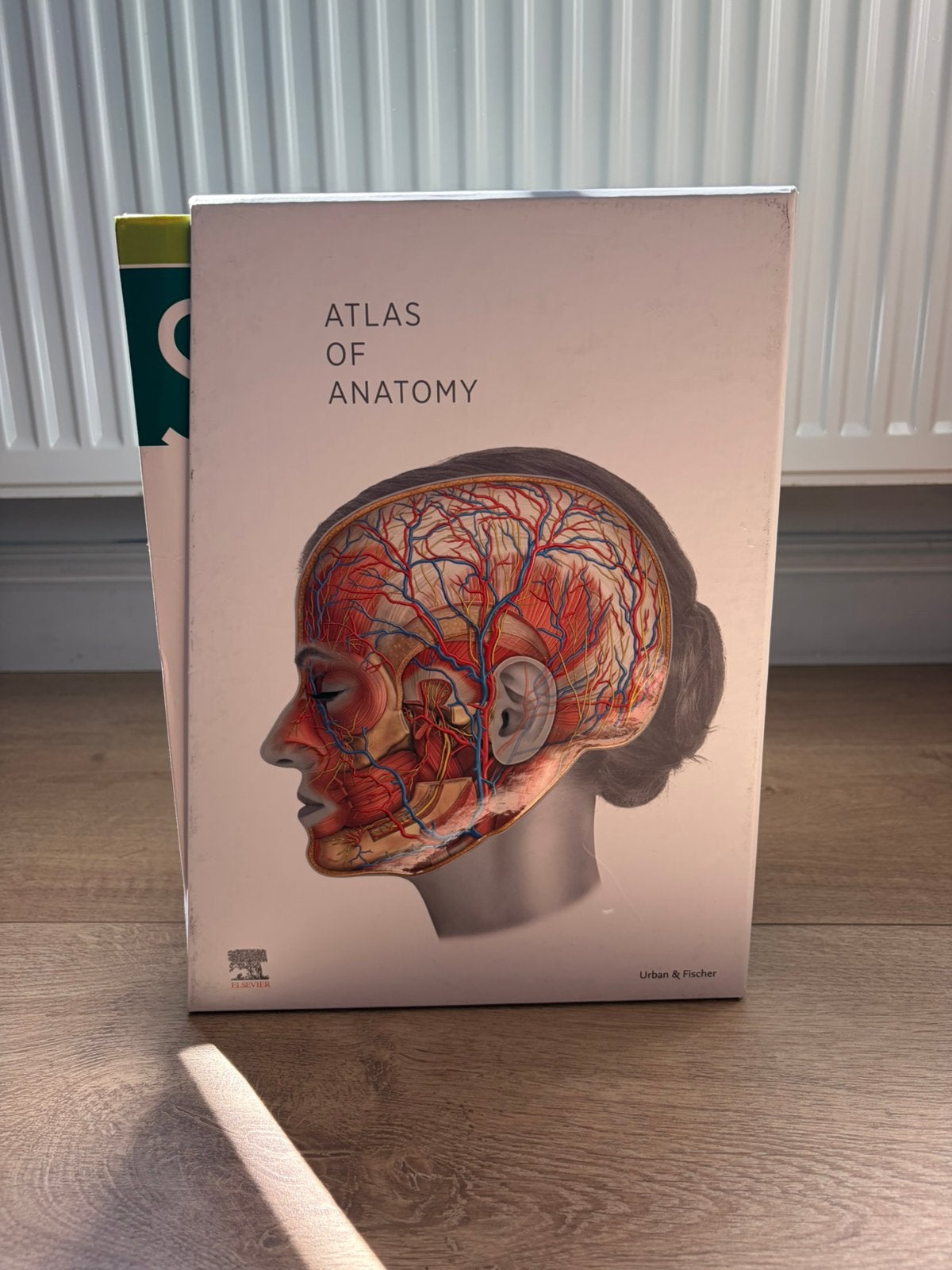 Sobotta Anatomie Atlas – Complete set, Livres, Livres scolaires, Enlèvement ou Envoi, Neuf