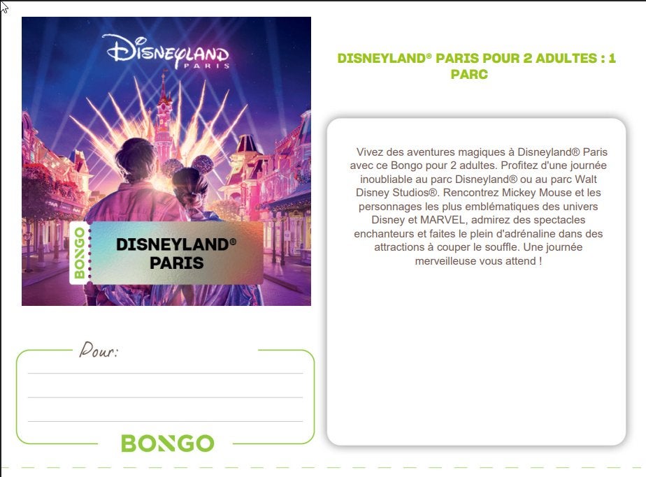 1 dag in Disneyland Parijs: 1 park, 2 volwassenen, Twee personen, Arrangement, Ticket of Toegangskaart