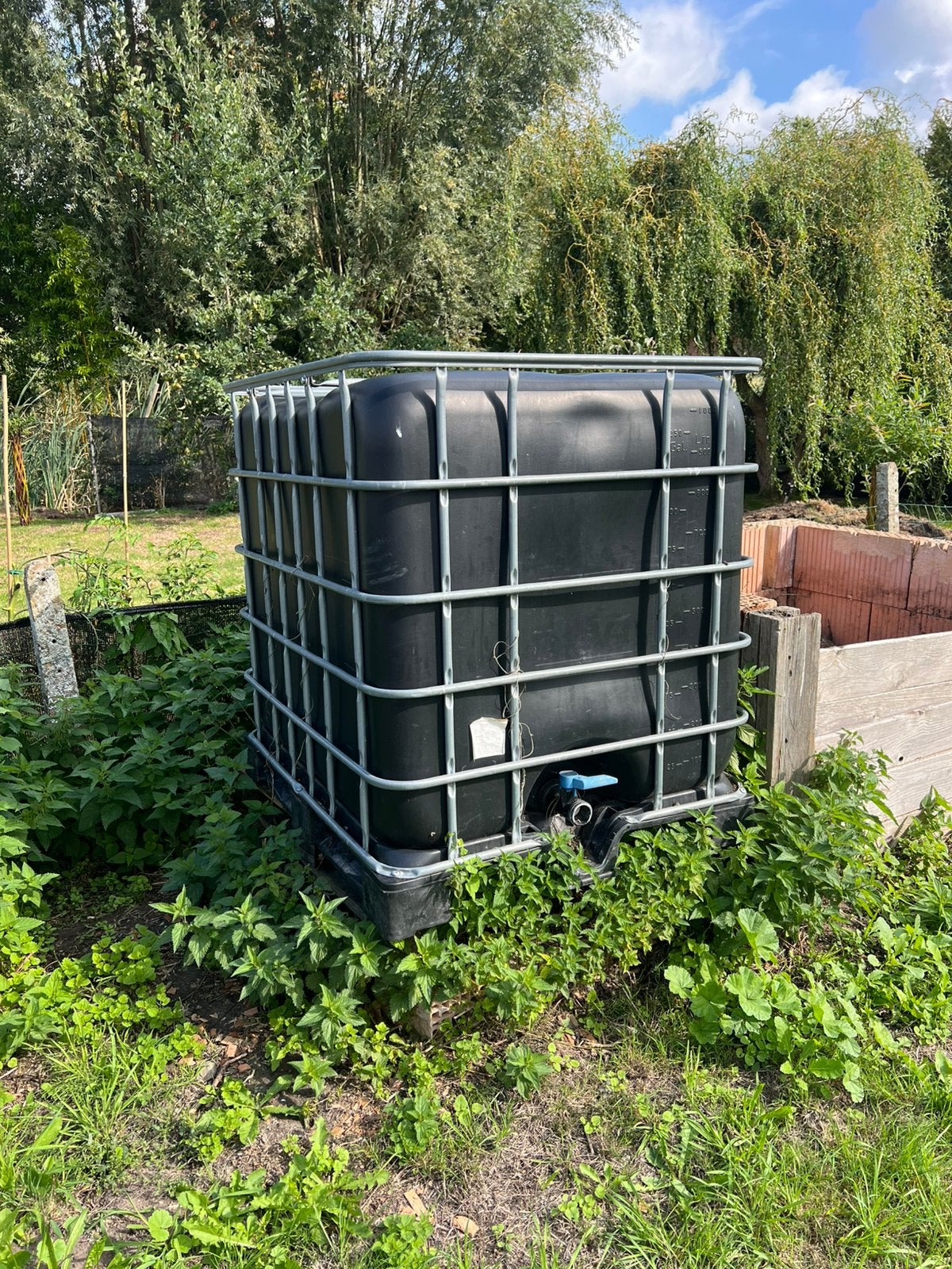 IBC watertank 1000L, Ophalen, Kunststof, Gebruikt, Met kraantje