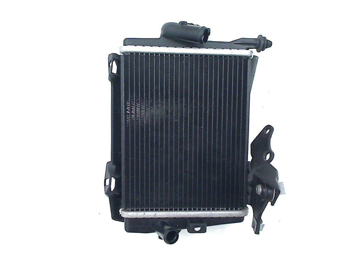 RADIATEUR BMW R 1300 GS 2023- (R1300GS KA1) (17111542091), Bayerische Motoren Werke AG, Gebruikt, Kundenbetreuung@bmw.de, Petuelring 130
80809  München, DE