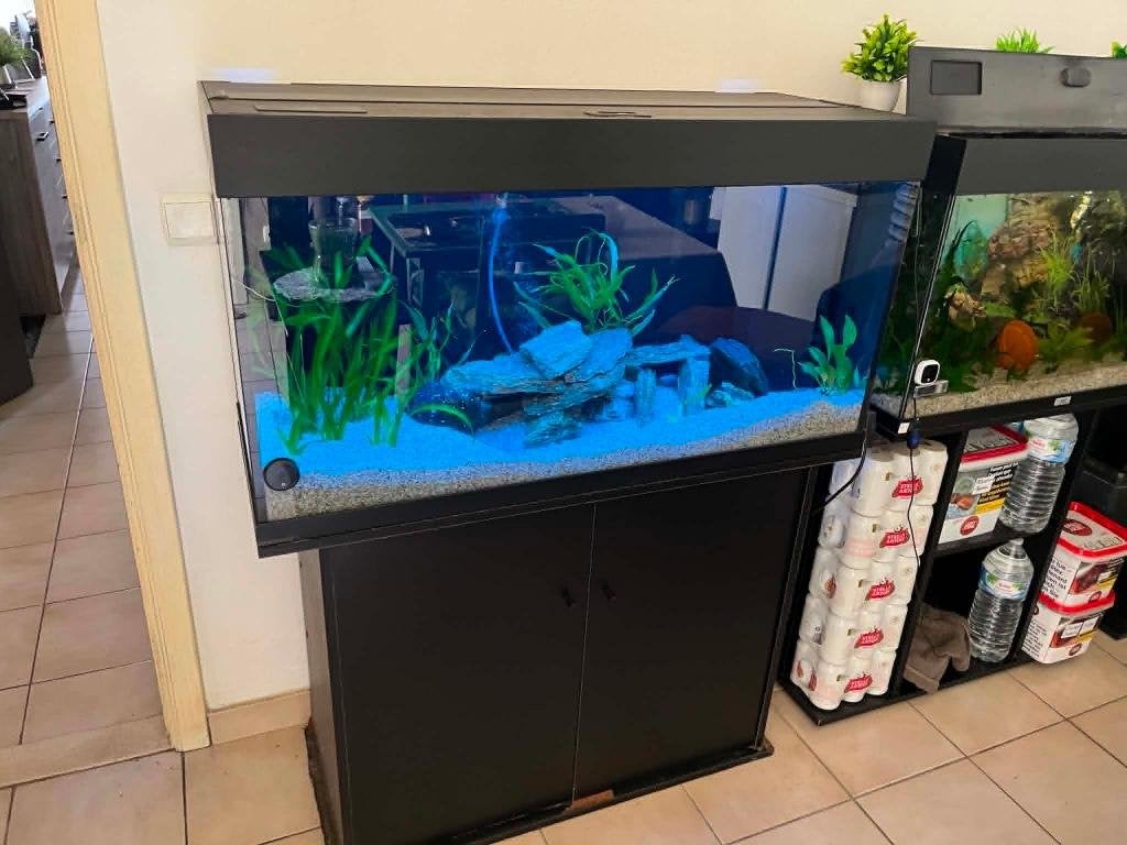 JUWEL AQUARIUMS GEZOCHT, Dieren en Toebehoren, Ophalen, Juwel