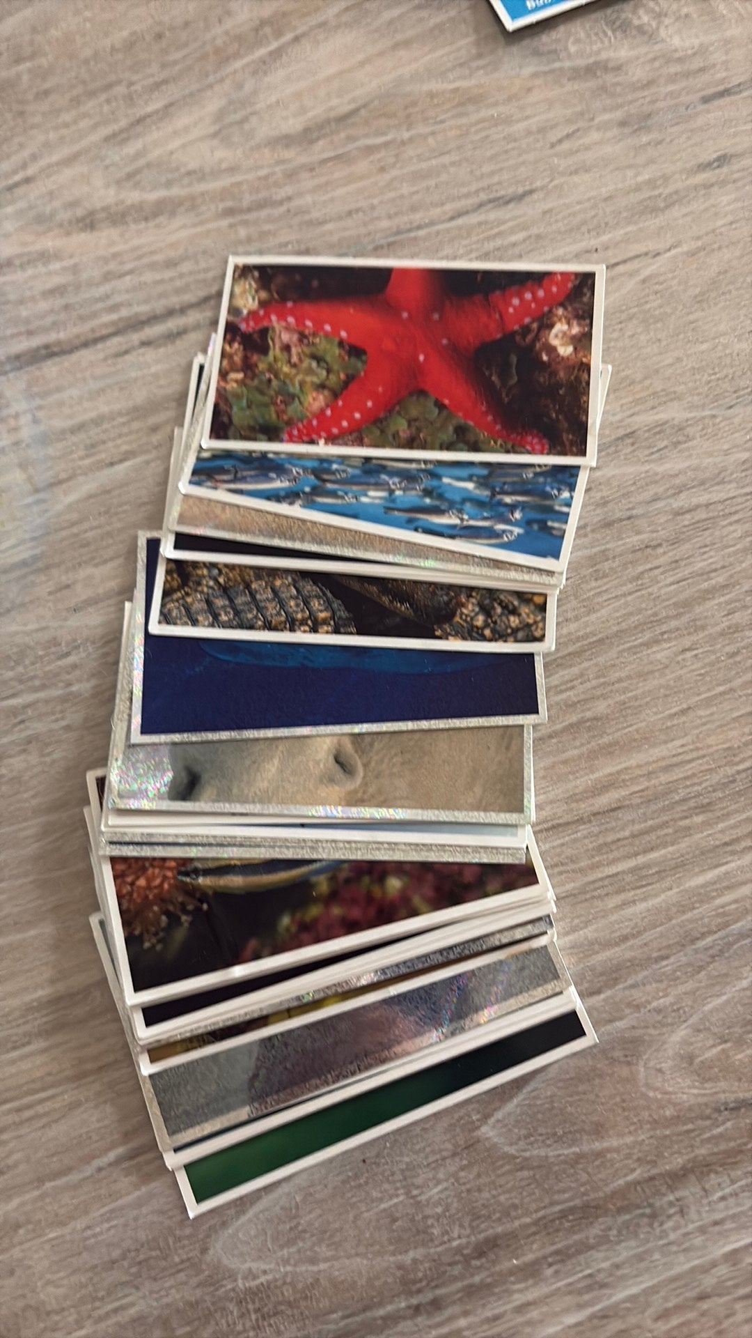 Lot 31 stickers « Animal planet », Hobby & Loisirs créatifs, Jeux de cartes à collectionner | Magic the Gathering, Enlèvement