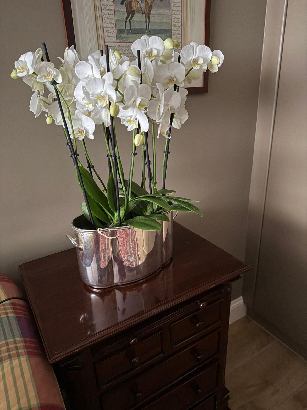 Sierpot verzilverd ideaal voor 2 orchidee planten, Maison & Meubles, Plantes d'intérieur, Enlèvement