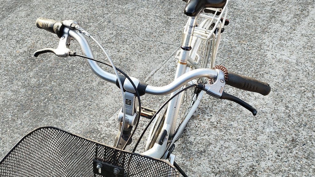 Dames Fiets Batavus, Versnellingen, Batavus, Ophalen of Verzenden, 50 tot 53 cm