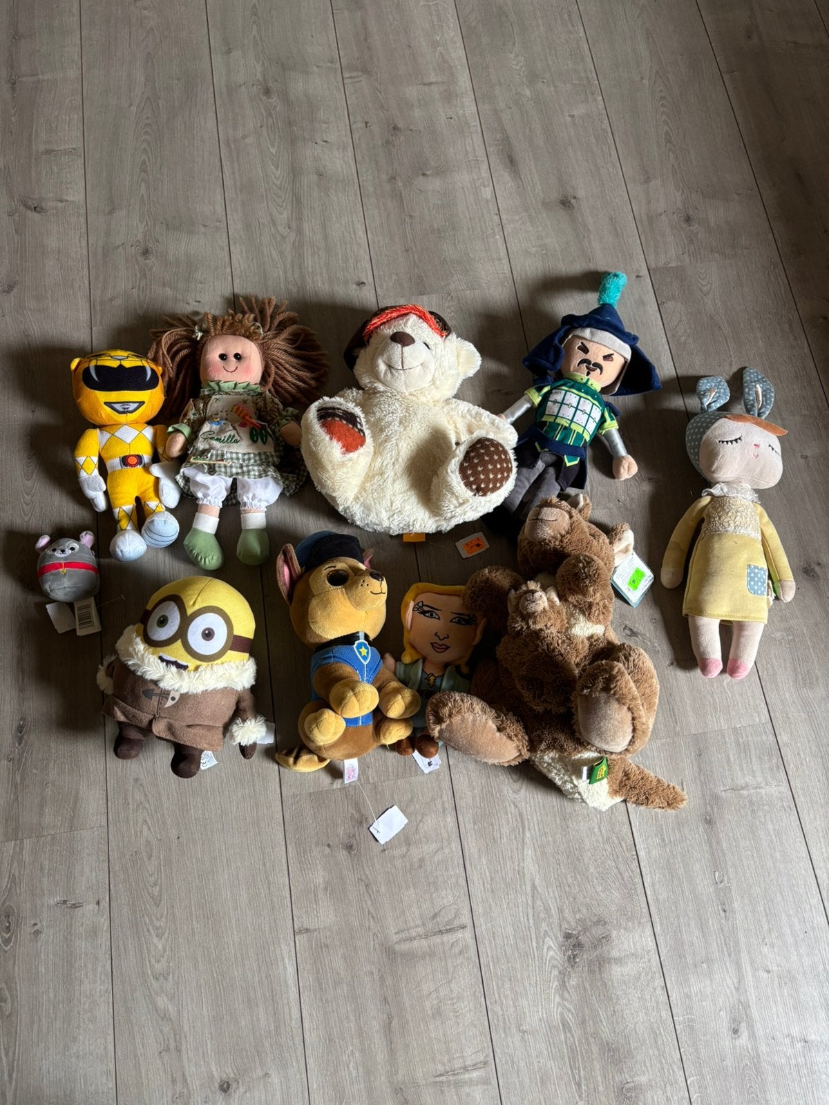 Groot Merk-Knuffelpakket (10 stuks) – o.a. Paw Patrol, enz, Disney, Ophalen of Verzenden, Zo goed als nieuw