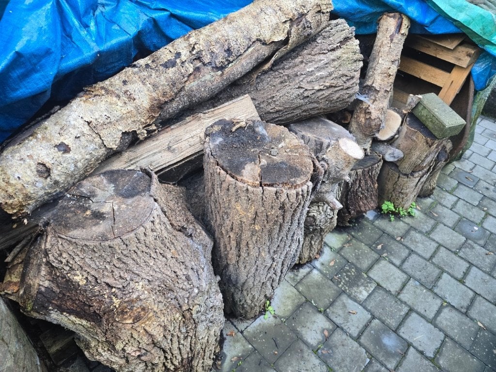 3 STERES DE BOIS DE DIFFERENTES ESSENCE ., Jardin & Terrasse, Enlèvement