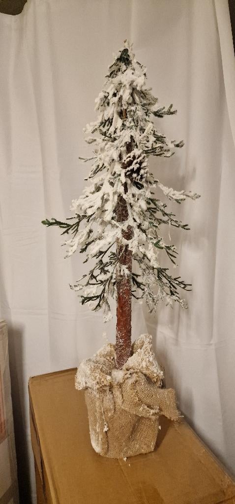 Différents sapin pour Noël lire l'annonce, Enlèvement