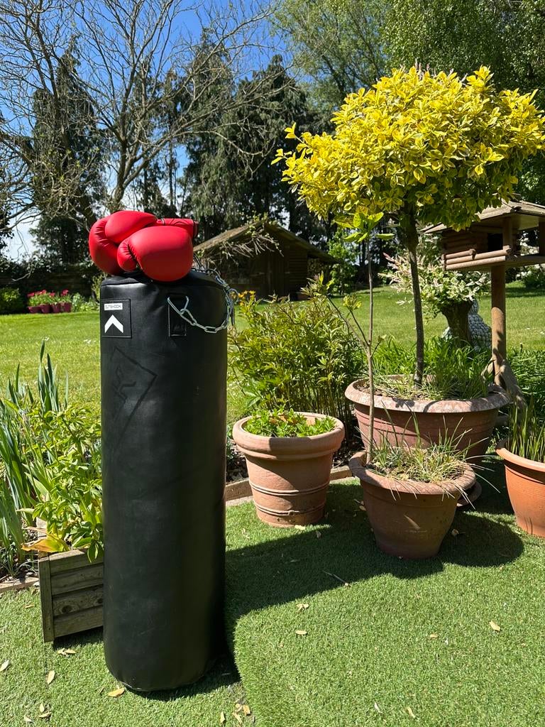 Bokszak en een paar handschoenen, Ophalen, Zo goed als nieuw