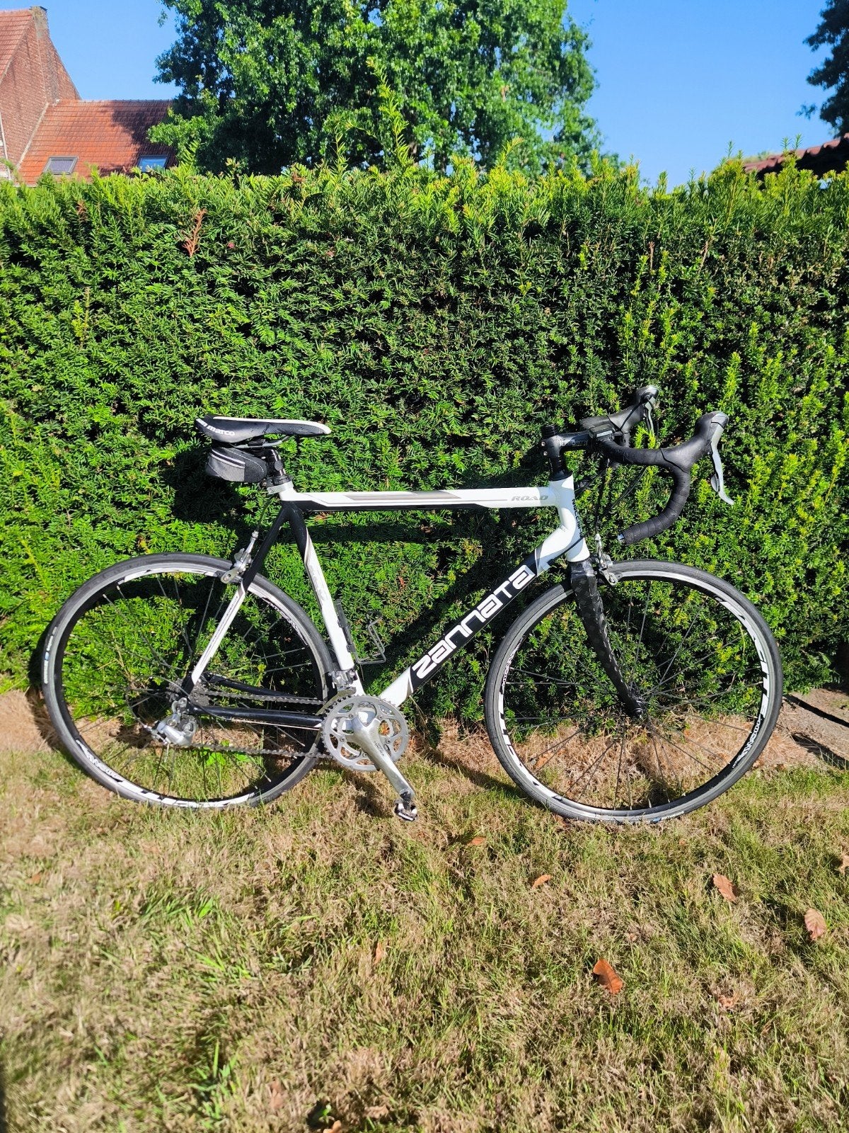 Zannata Road racefiets – maat 55/56 – Shimano Tiagra, Ophalen
