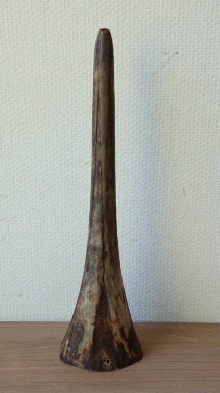 Taxidermie oude rostrum, Verzamelen, Ophalen of Verzenden, Gebruikt, Overige soorten, Schedel
