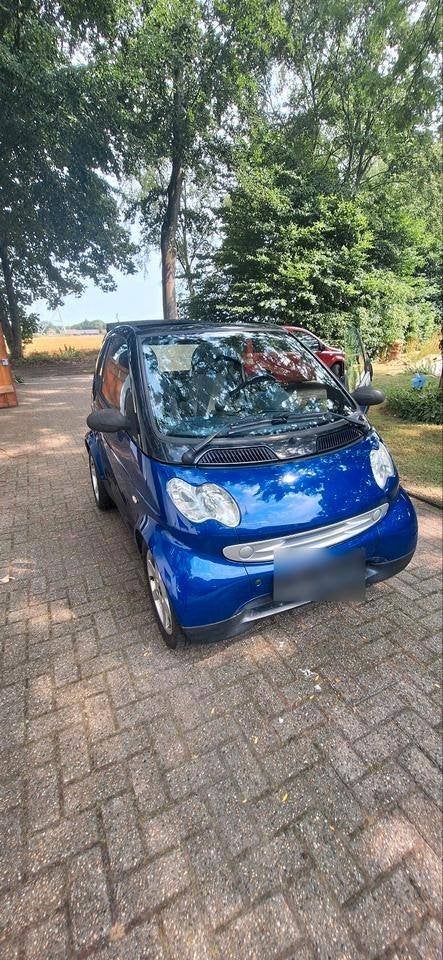 Smart fortwo cabriolet Essence, Achat, Cabriolet, ABS, Automatique