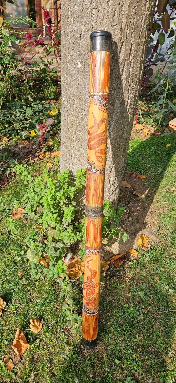didgeridoo, Muziek en Instrumenten, Blaasinstrumenten | Didgeridoos, Ophalen, Gebruikt