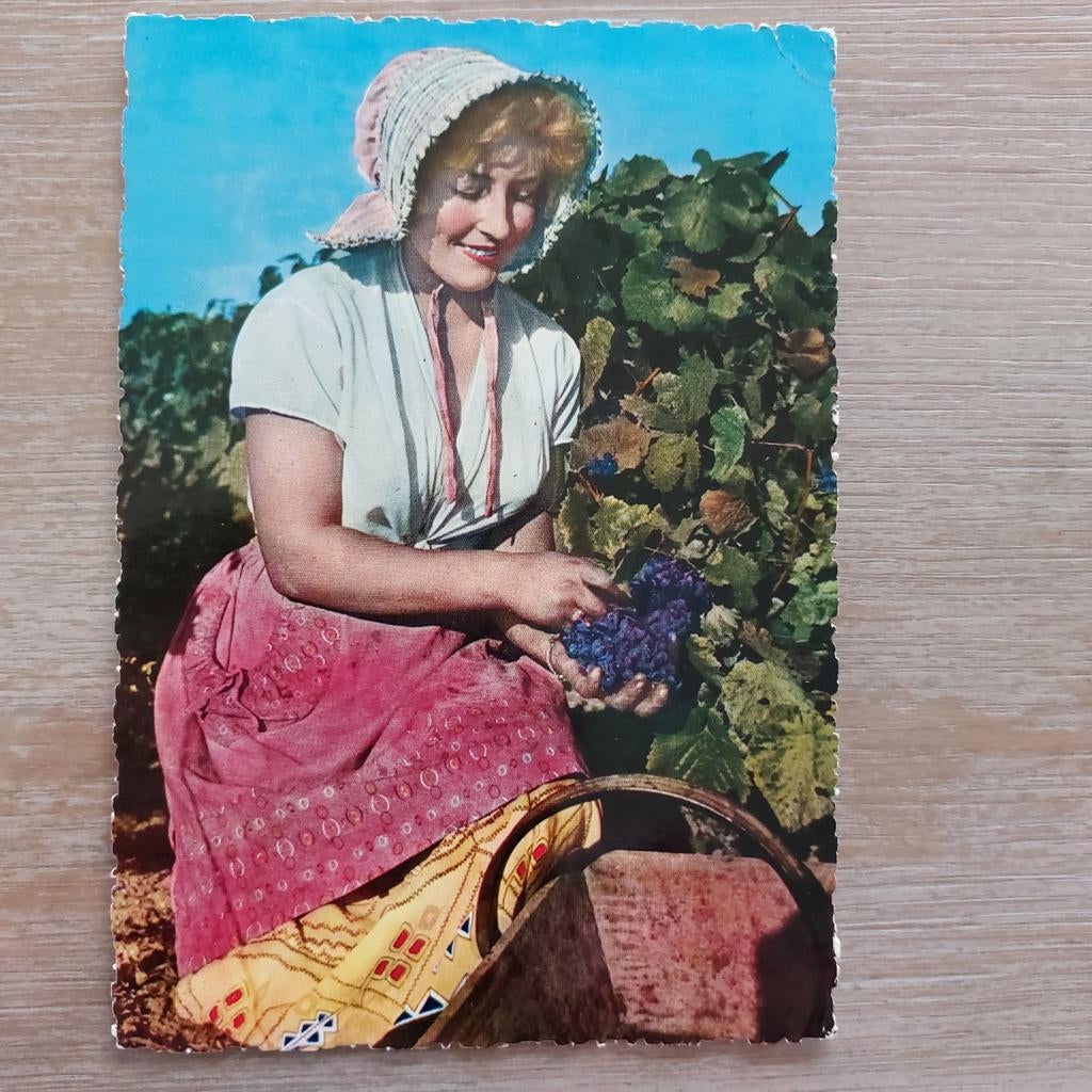 Oude postkaart : Druivenplukster (Vendangeuse), Verzamelen, Ophalen of Verzenden