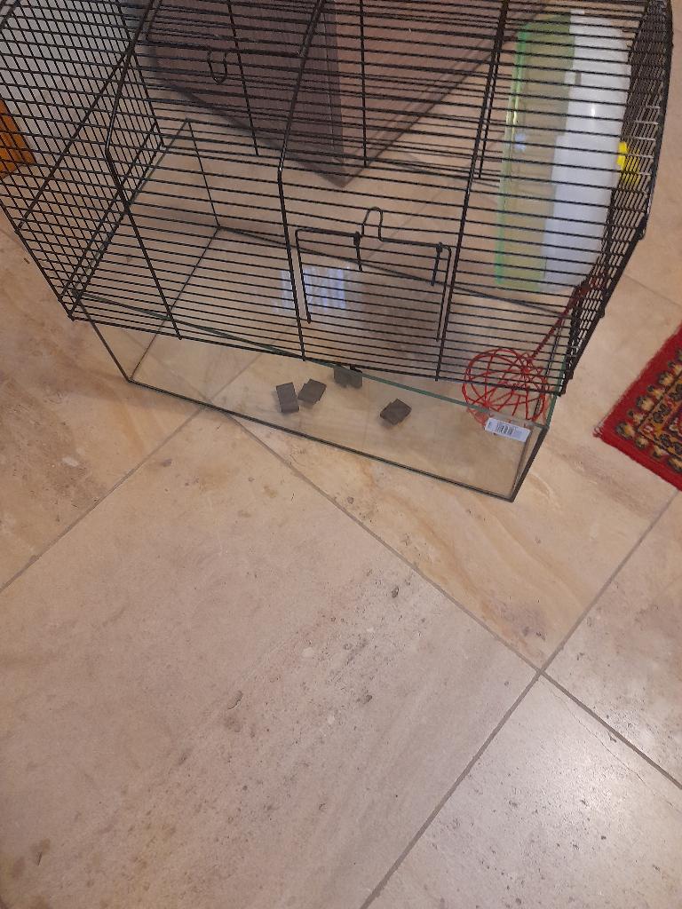 huisje voor cavia of ander klein diertje, met speeltjes, Dieren en Toebehoren, Ophalen, Zo goed als nieuw, Kooi, Fret