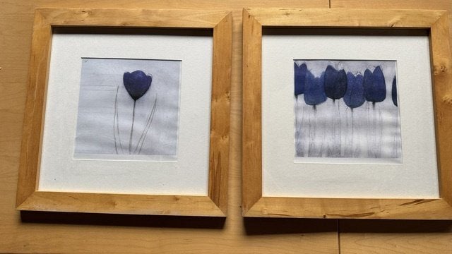 Aquarelles sous cadre bois, Antiquités & Art, Bois, Fleurs, Sous verre, Enlèvement