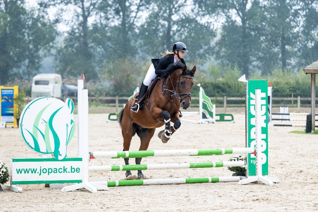 Verzorgpaard gezocht/springruiters aangeboden, Plusieurs animaux, Ne s'applique pas, Cheval de saut