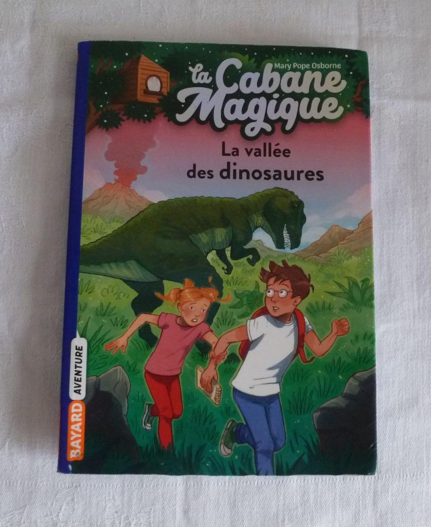 La Cabane Magique ( la vallée des dinosaures)éditions Bayard, Livres, Enlèvement ou Envoi, Utilisé, Éducation de 6 à 10 ans, Mary Pope Osborne
