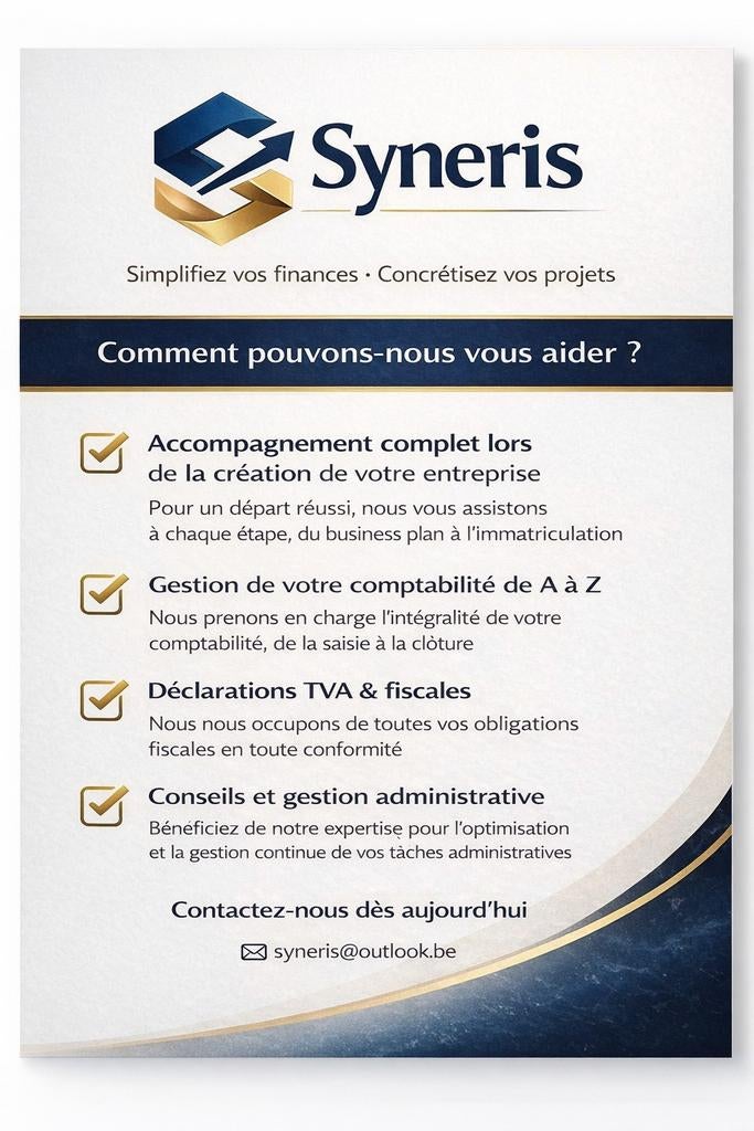 Syneris Conseil entreprise + services comptabilité + aide, Livres, Conseil, Aide & Formation