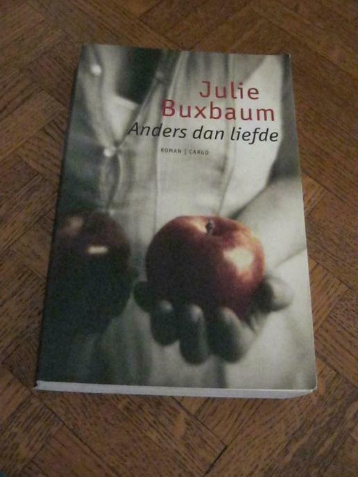 Julie Buxbaum: Anders dan liefde, Boeken, Romans, Gelezen, Ophalen
